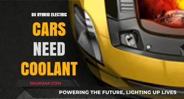 Do Hybrid Electric Cars Need Coolant? Essential Maintenance Insights