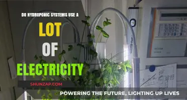 Hydroponic Systems: Electricity Usage Explained for Efficient Indoor Farming