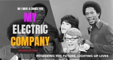 Electric Company Options: Do I Have a Choice?