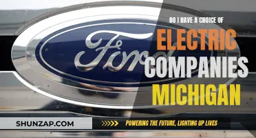 Electric Companies in Michigan: Do You Have a Choice?