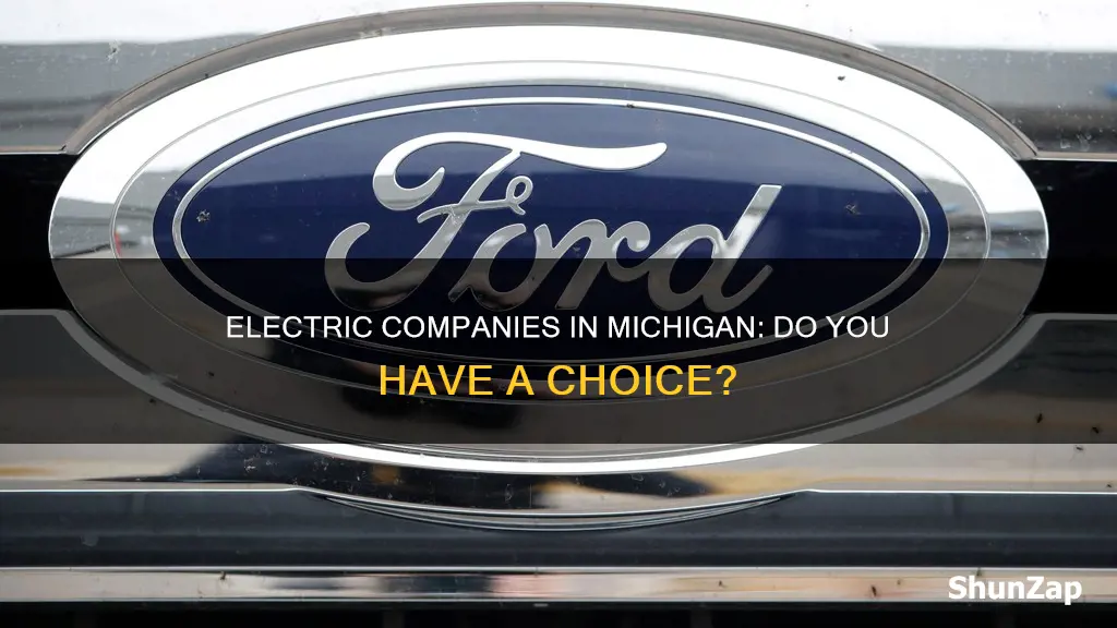 do i have a choice of electric companies michigan