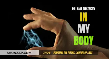 Electricity in the Human Body: What's the Spark?