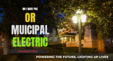 Electricity Billing: PSC or Municipal Electric?