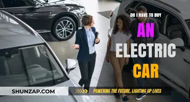 Should You Go Electric? Exploring the Need for an EV Purchase