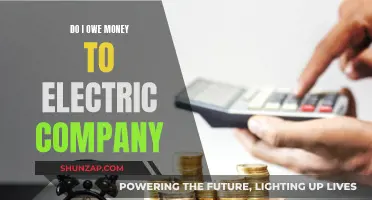 Electric Company Demands Payment: What Do I Owe?