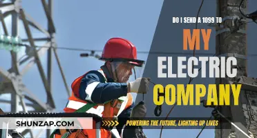 Should You Send a 1099 to Your Electric Company?