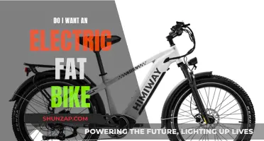 The Ultimate Electric Fat Bike Experience