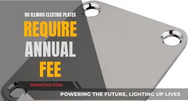Electric Plates in Illinois: Annual Fees and Charges Explained