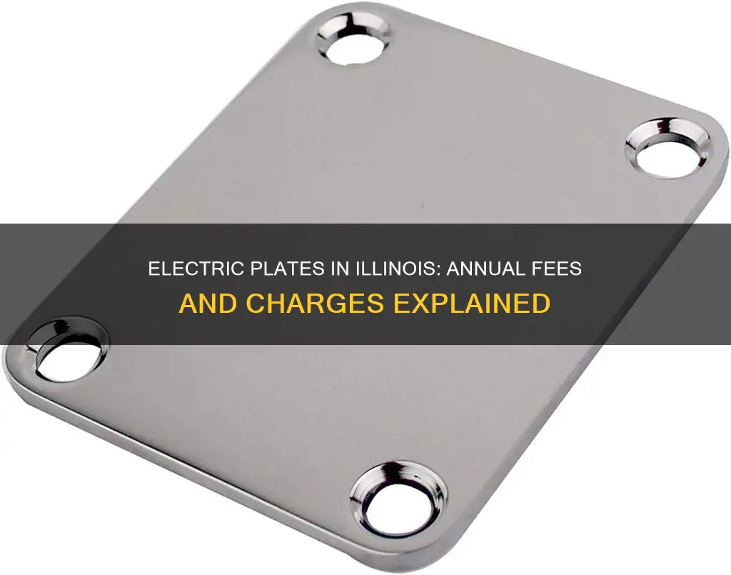 do illinois electric plates require annual fee