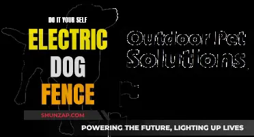 Electric Dog Fences: DIY Installation and Maintenance Guide