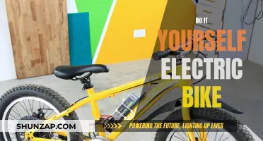 Electric Bike Revolution: DIY Style