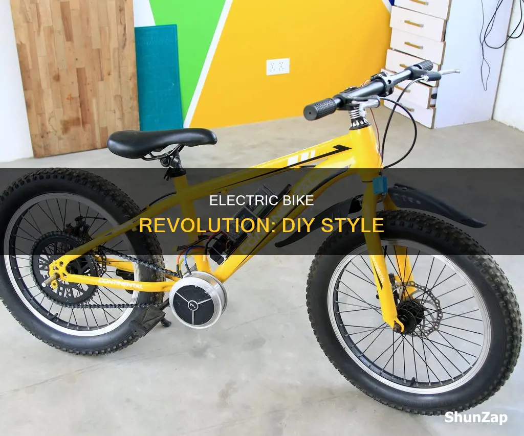 do it yourself electric bike