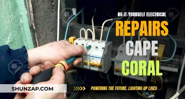Electrical Repairs in Cape Coral: DIY or Not?