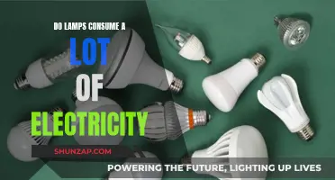 Lamps: Energy-Efficient Lighting or Power Guzzlers?