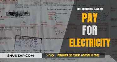 Landlord Electricity Payment Responsibilities: Who Pays for What?