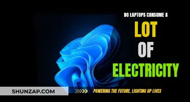 Laptops' Electricity Consumption: How Much Do They Devour?