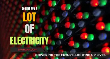 LEDs: Energy Efficiency and Electricity Consumption