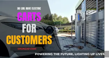 Electric Shopping Carts: Lidl's Customer Experience Enhancement