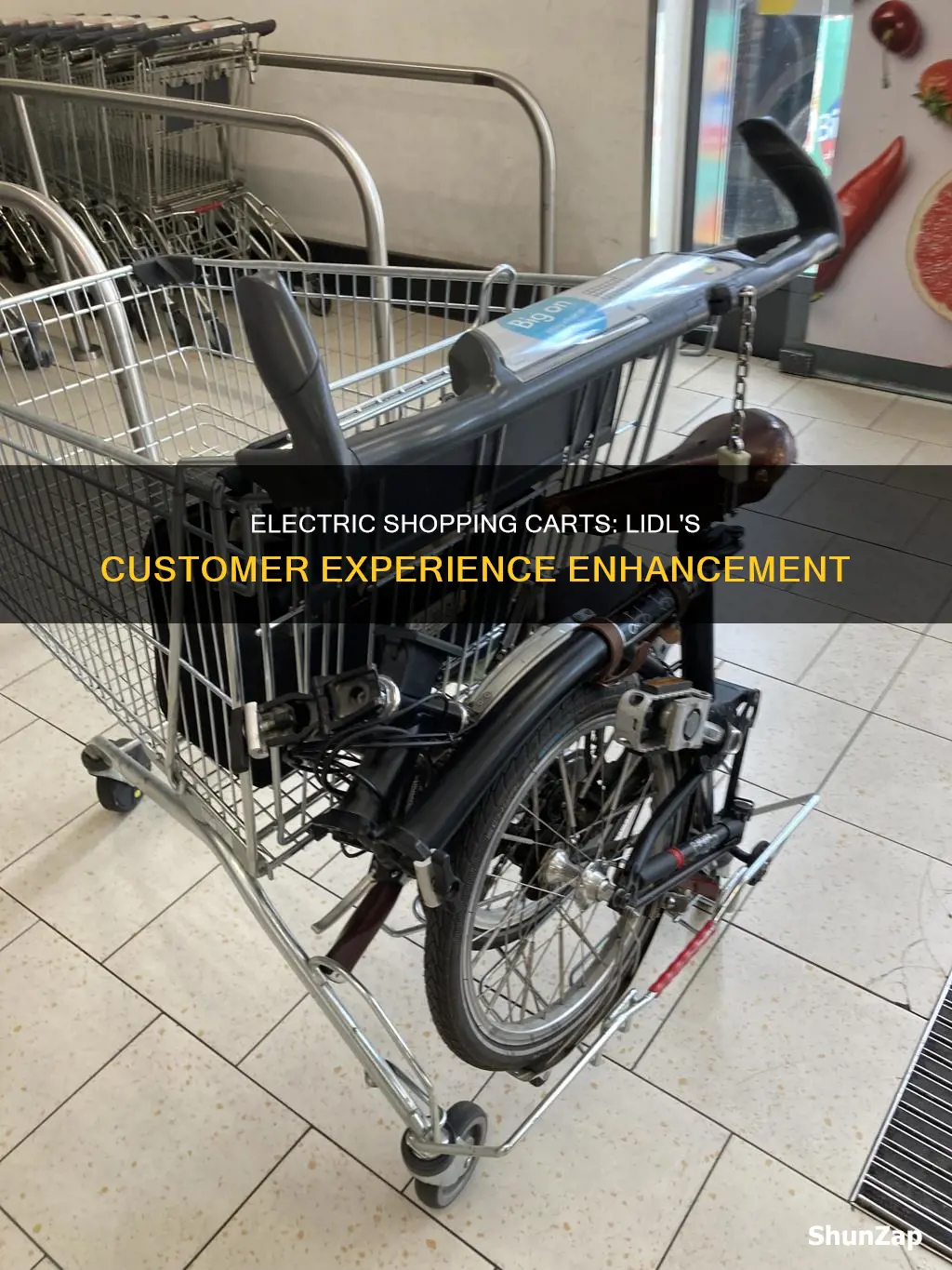 do lidl have electric carts for customers