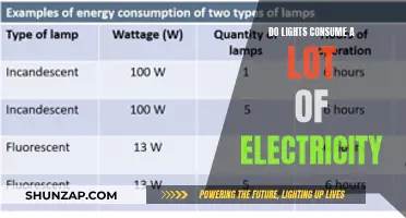 Lights and Electricity: Energy-Efficient Illumination