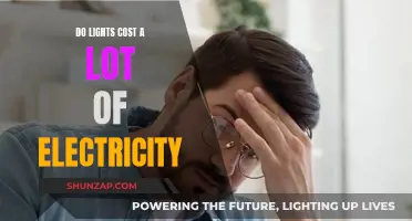 Lights and Electricity: Costly Combo or Efficient Energy?
