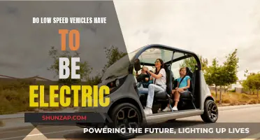 Beyond the Electric: Low-Speed Vehicles' Sustainable Future