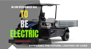 The Future of Low-Speed Vehicles: Electric or Not?