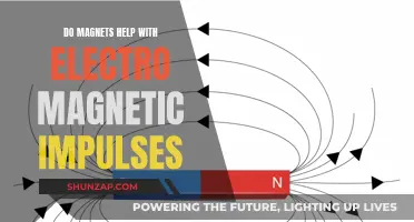 How Magnets Affect Electromagnetic Impulses and Their Applications