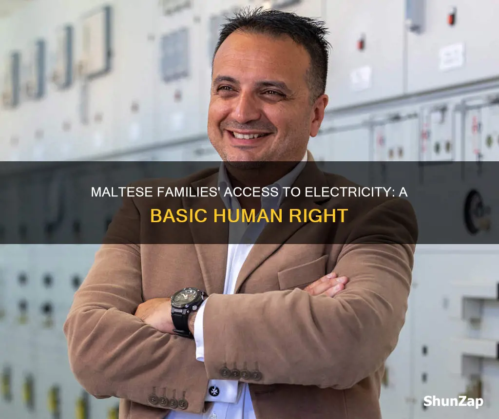 do maltese families have access to electricity