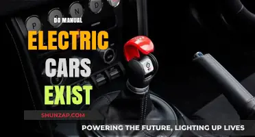 Exploring Manual Electric Cars: Do They Exist and How Do They Work?