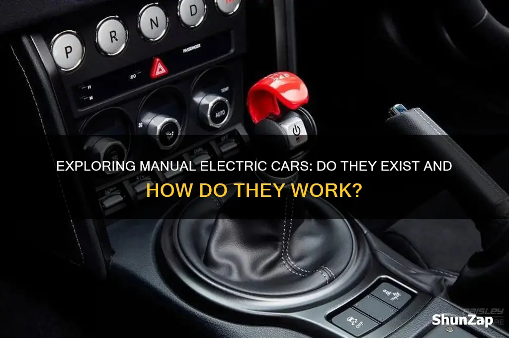 do manual electric cars exist