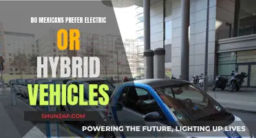 Electric or Hybrid? Mexican Car Preferences Unveiled