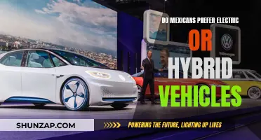 The Vehicle Preference of Mexicans: Electric or Hybrid?