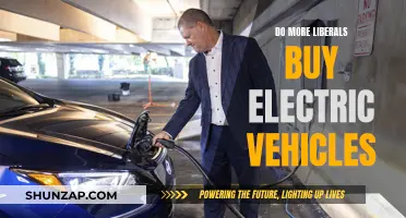 Electric Vehicle Sales: The Liberal Advantage