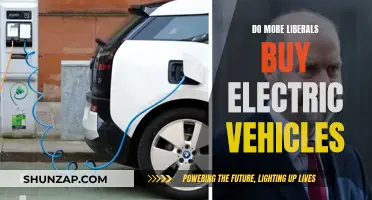 Electric Vehicle Sales: Political Leanings and Consumer Choices
