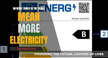 Fridge Efficiency: More Items, More Electricity?