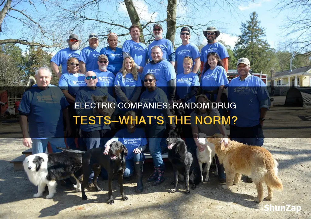 do most electric companies do random drug tests