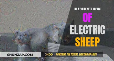 Neural Nets: Dreaming of Electric Sheep, a Reality?