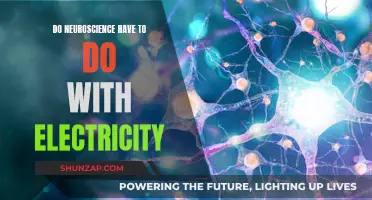 Brain Electricity: Unlocking Neuroscience's Power