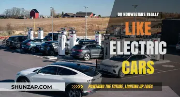 Why Norwegians Lead the World in Electric Car Adoption