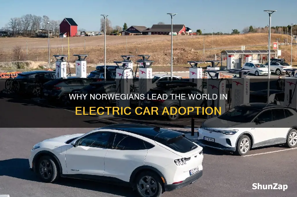 do norwegians really like electric cars