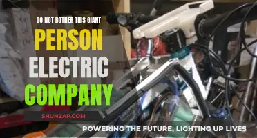 The Giant Awakens: Electric Company's Quiet Power