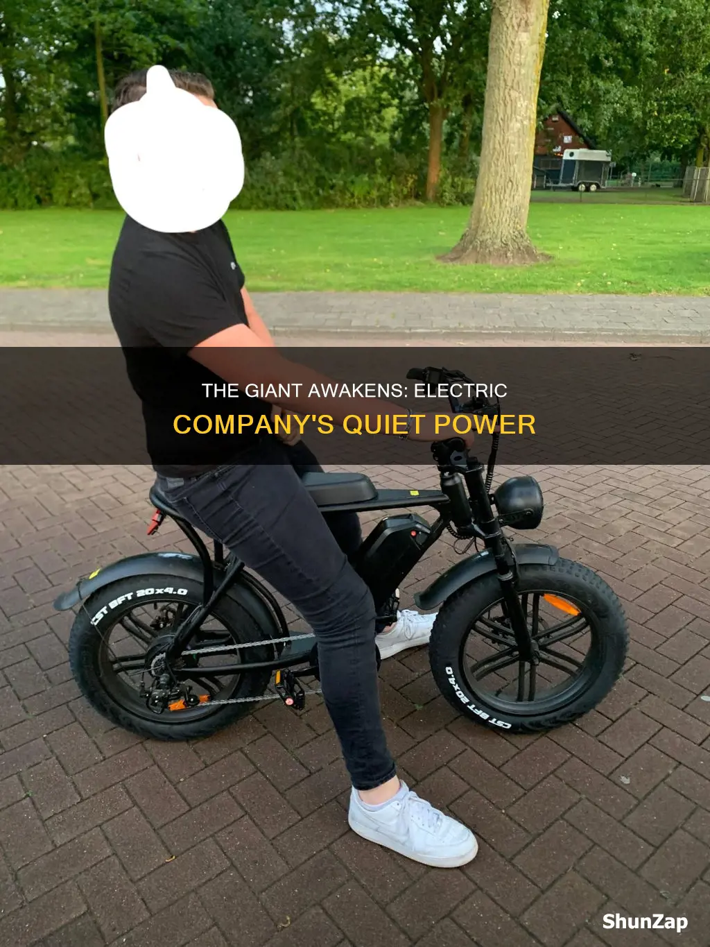 do not bother this giant person electric company