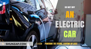 Why Electric Cars May Not Be the Right Choice for You