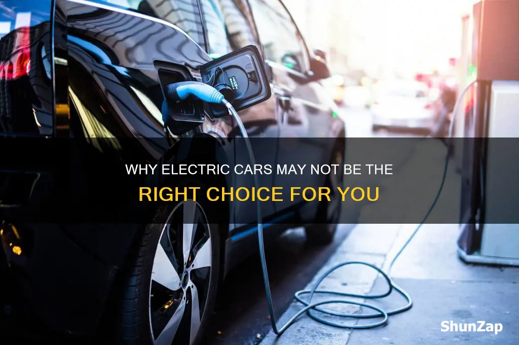 do not buy an electric car