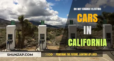 Avoid Charging Electric Cars in California: Reasons and Alternatives