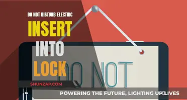 Electric Lock's 'Do Not Disturb' Feature: A Secure Insert