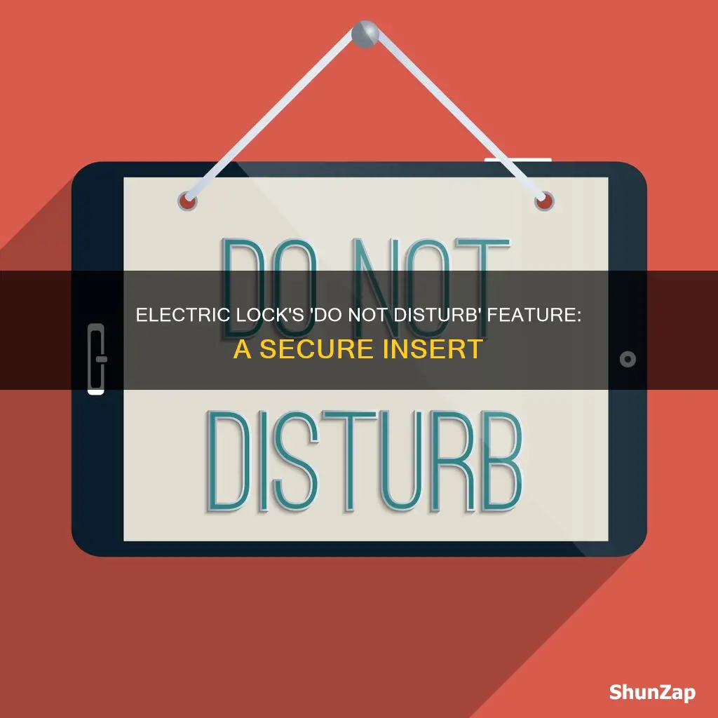 do not disturb electric insert into lock