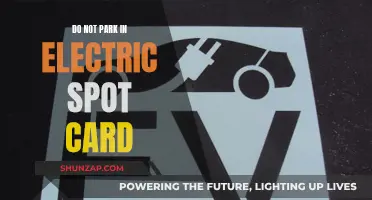 Electric Spot Card Parking: A No-Go for All Motorists
