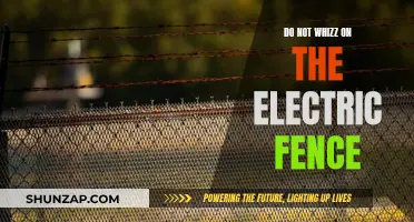 Electric Fence Whizzing: A Dangerous Mistake, Avoid!